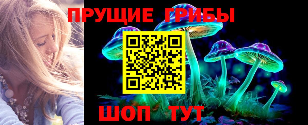 Псилоцибиновые грибы MAGIC MUSHROOMS  Вход с VPN  Воронеж 